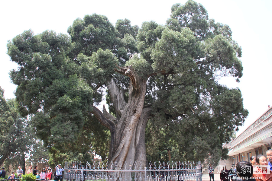 
他仅用四天写的电子书赚了280万 怎么做到的？-ky.com(图3)