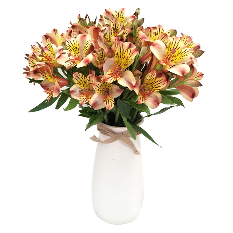 2018年“少儿报刊阅读季”在众意路小学启动|ky.com(图2)